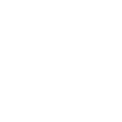 2y4 Race